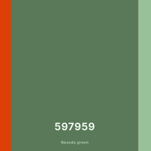 Personal Color Schemes