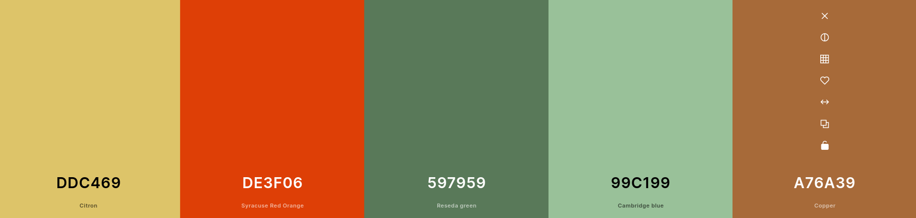 Personal Color Schemes